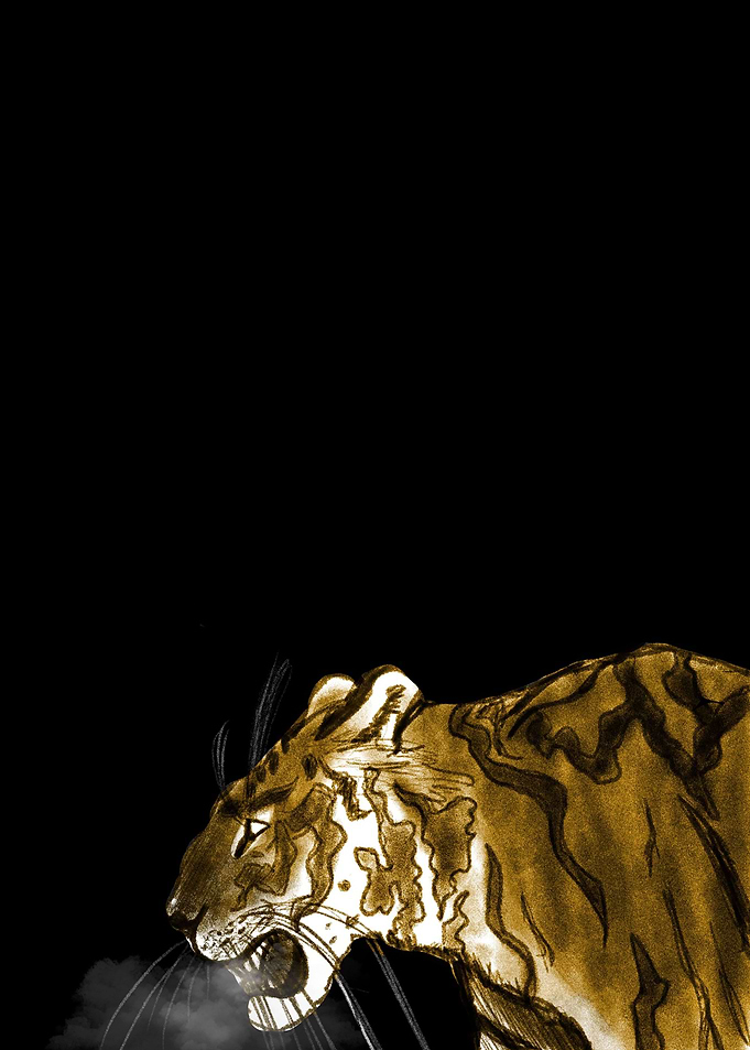 Tiger gold black