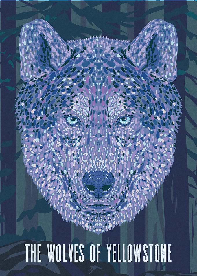 The Wolves Of Yellowstone