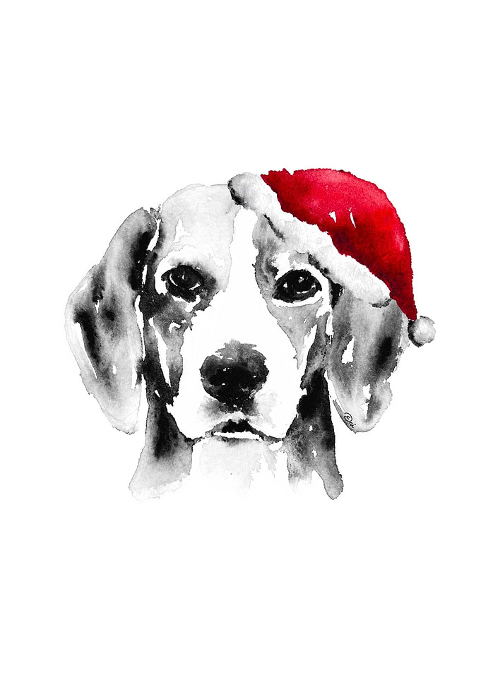 Abstract Beagle