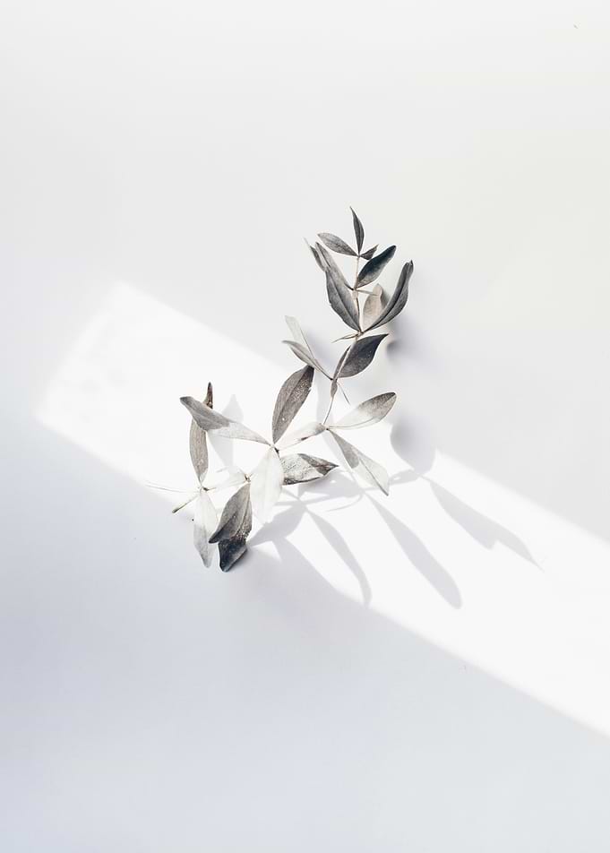 a group of metal leaves