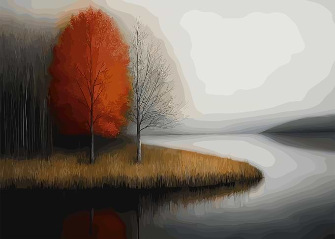 Tree Nature