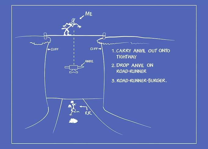 Coyote Dinner Plan