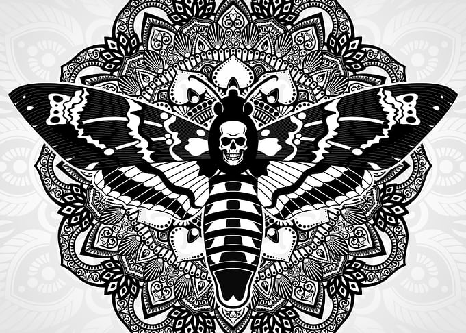 death head moth mandala