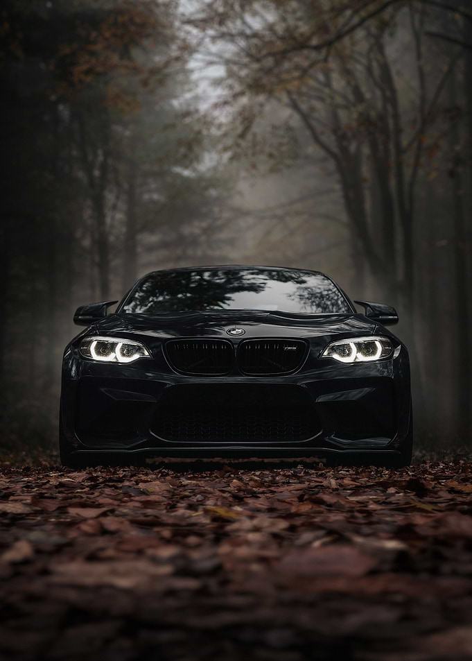 BMW Car Autumn