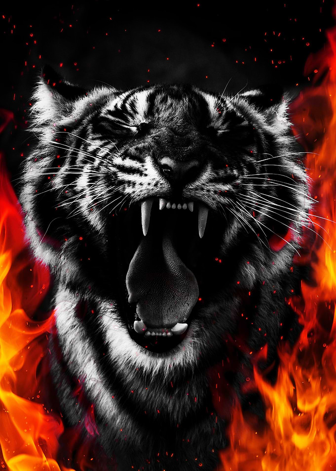 Tiger Grin