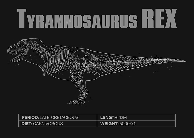 T Rex Skeleton