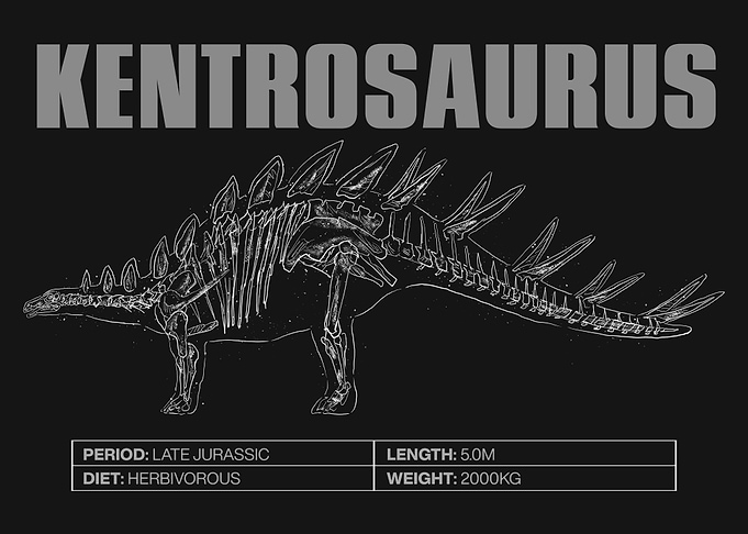 Kentrosaurus Skeleton