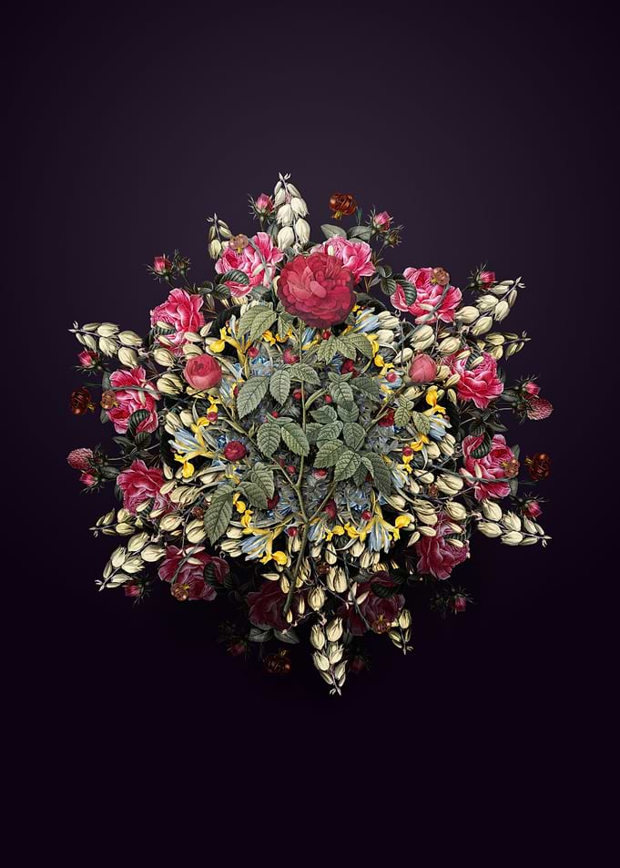 Agatha Rose Wreath