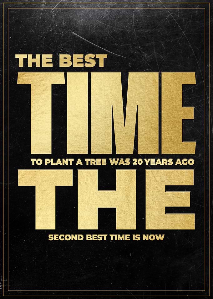 The Best Time To Plant