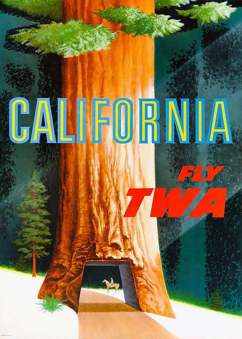 California Redwood Passage — vintage travel poster on metal