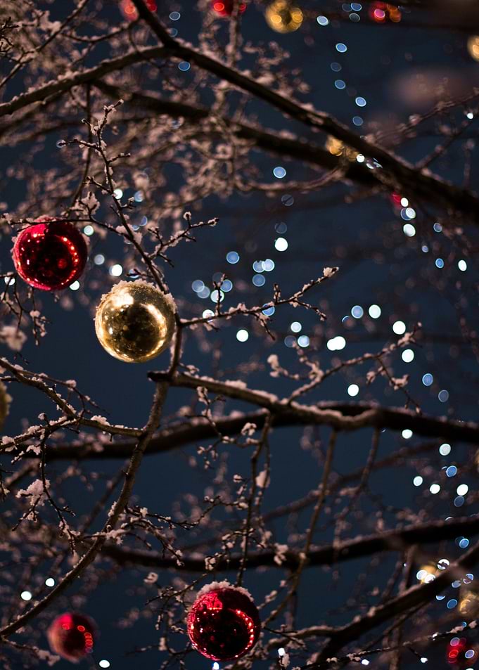 selective focus photograph