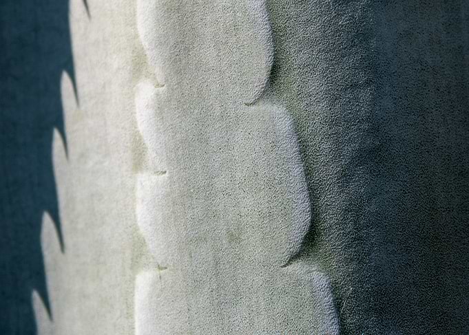Light and shadow of Agave
