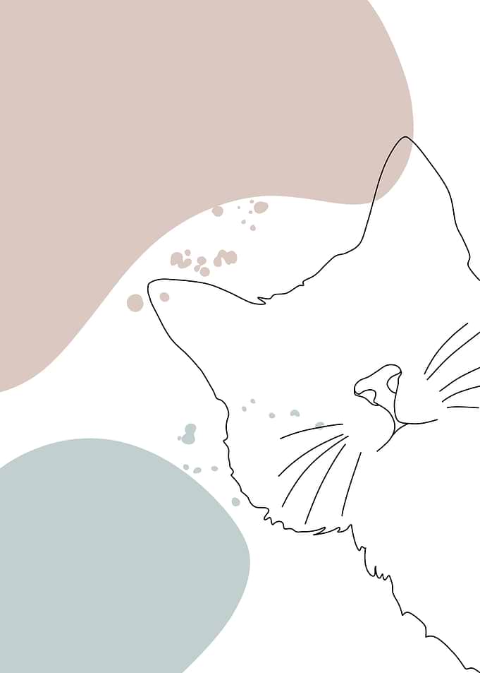 Minimalistic Cat