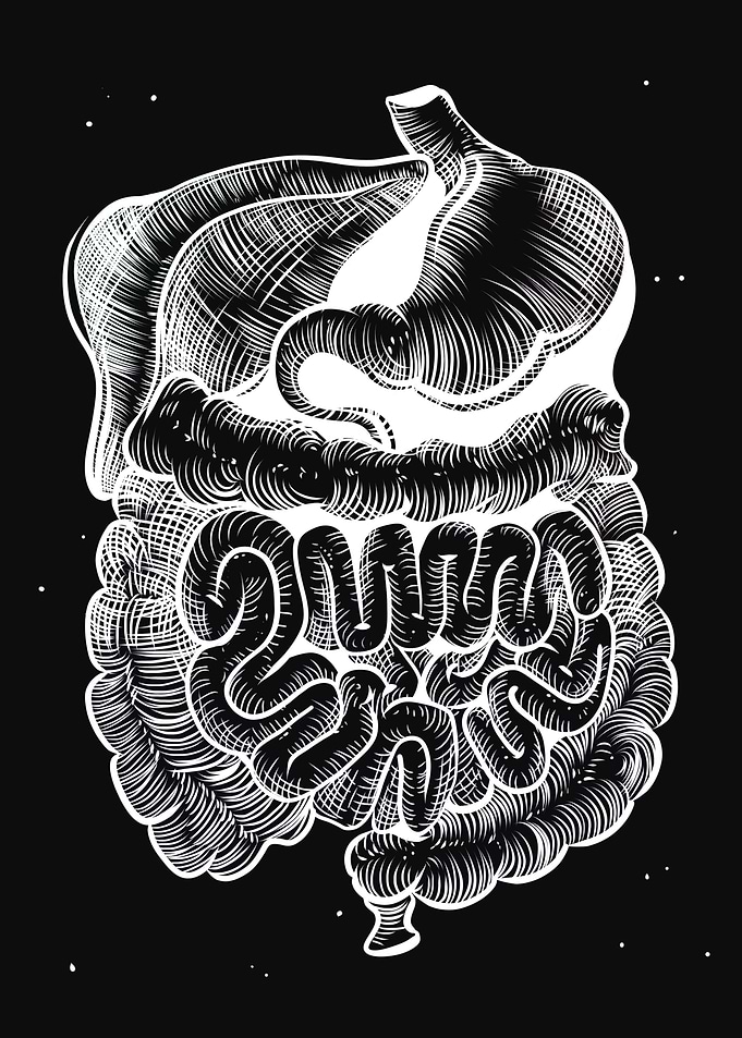 Digestive System Mono