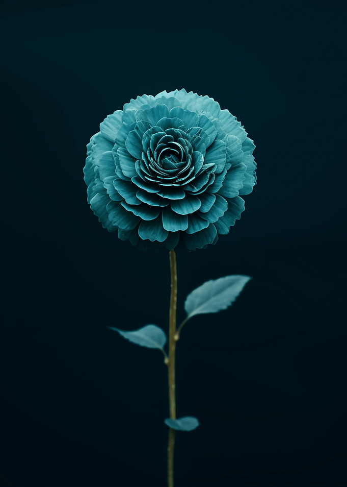 Teal Floral Wall Art