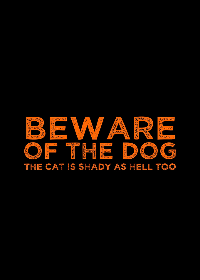 The Cat Is Shady As Hell
