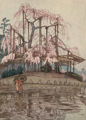 Spring Rain