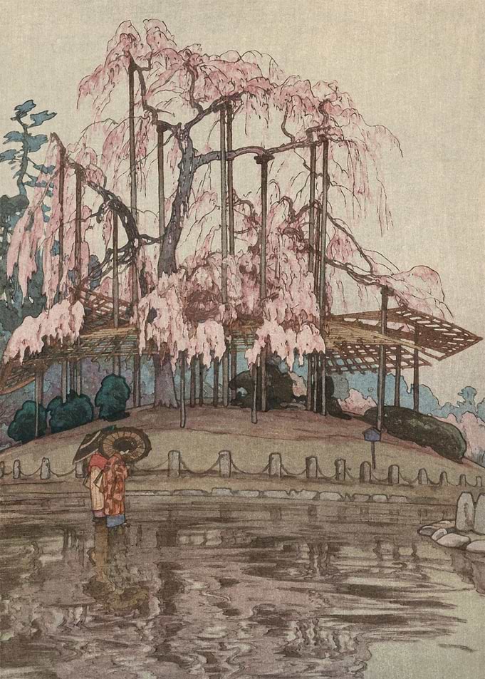 Spring Rain