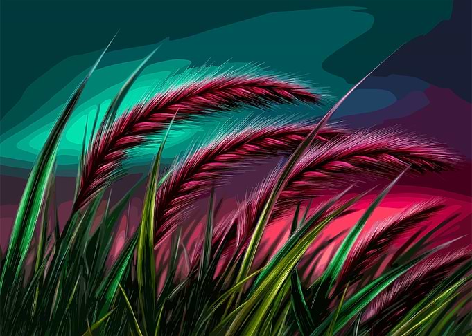 Landscapes Nature