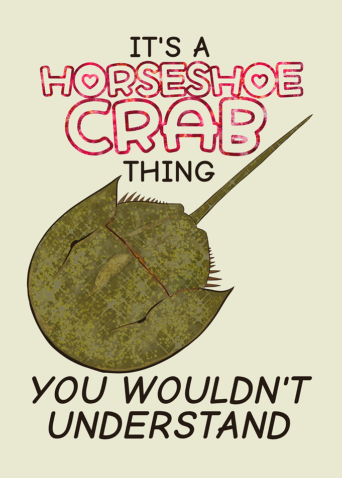 A Horseshoe Crab Thing