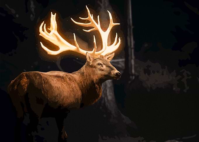 Magical Deer