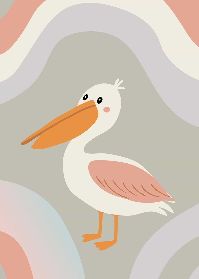 Cute Pelican