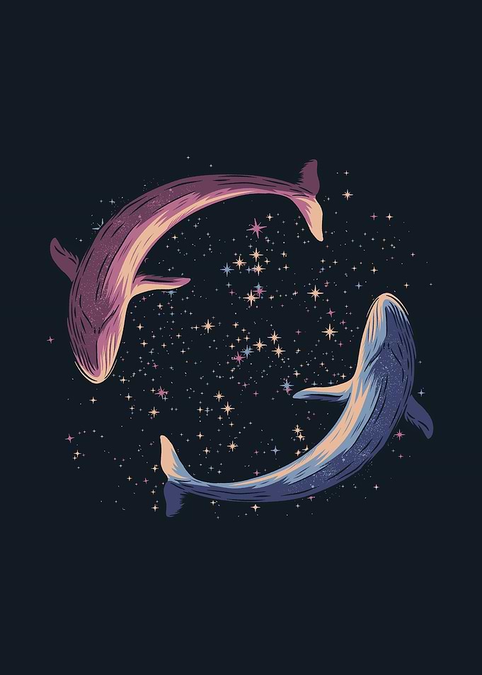 Stars of Sea Whale