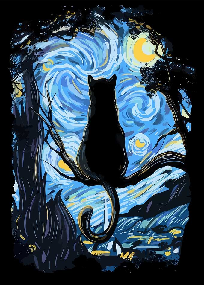 funny cat