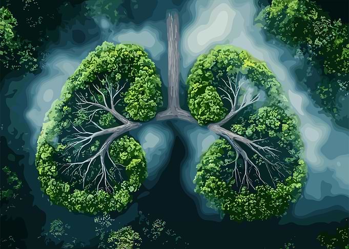Natural Lungs