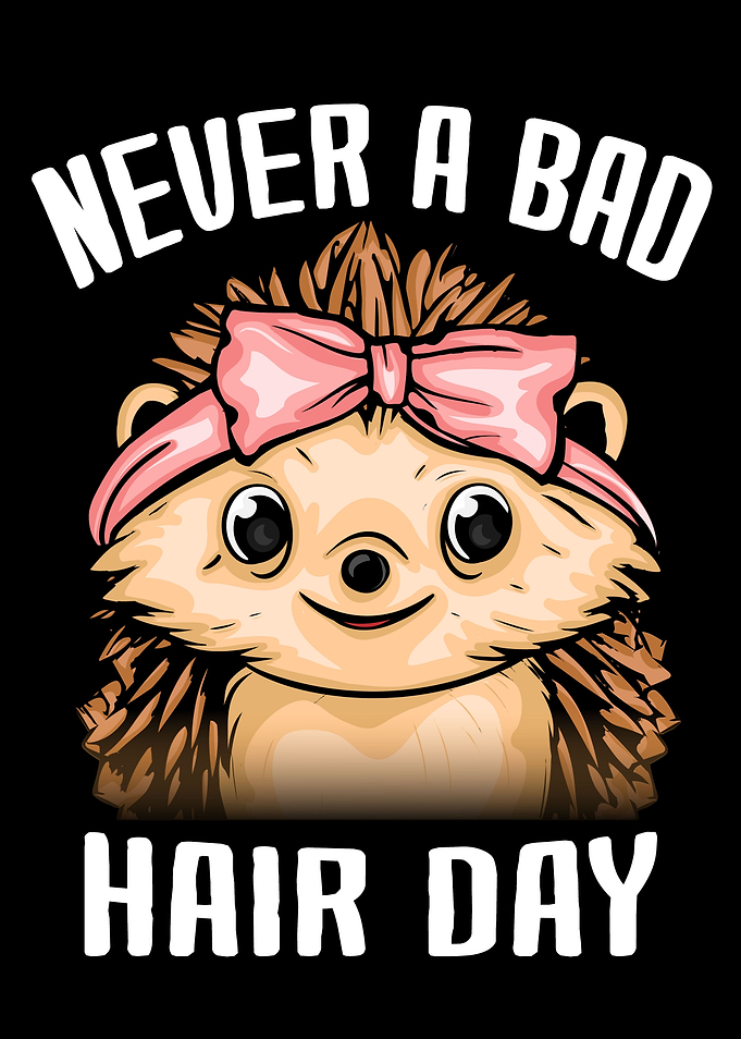 Cute Hedgehog Gift Women