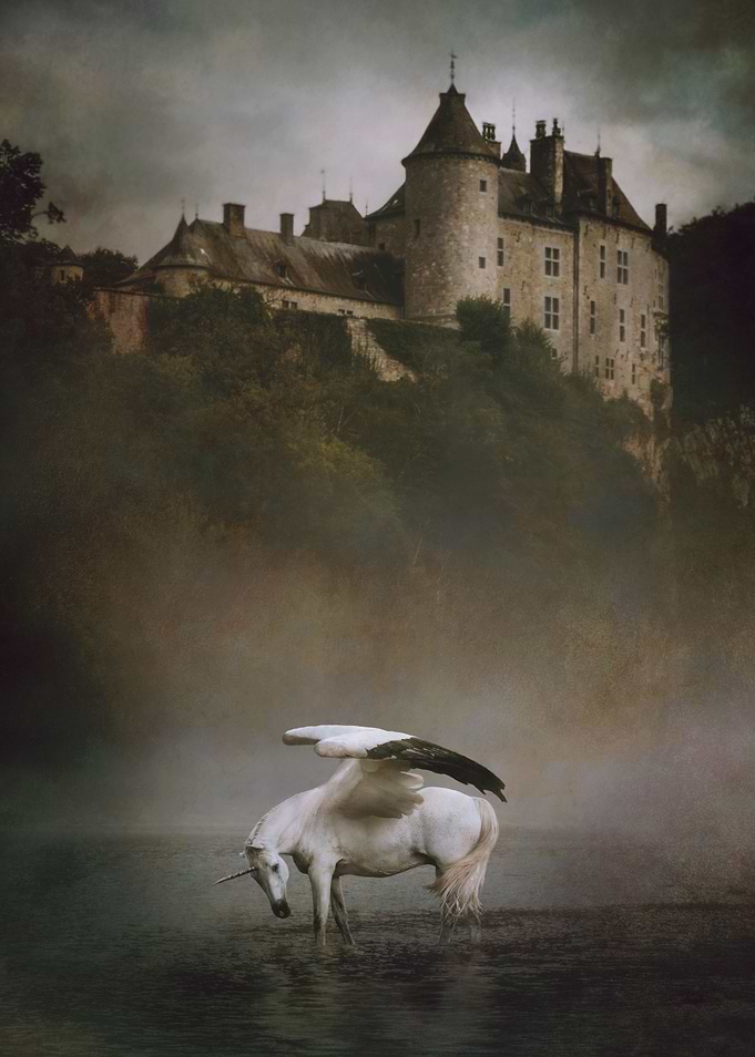 Winged Unicorn at Rest
