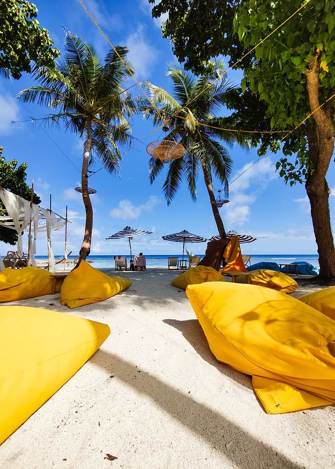 Beach bar under palm trees