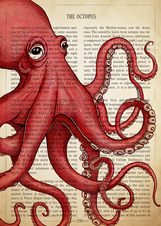 Red Octopus