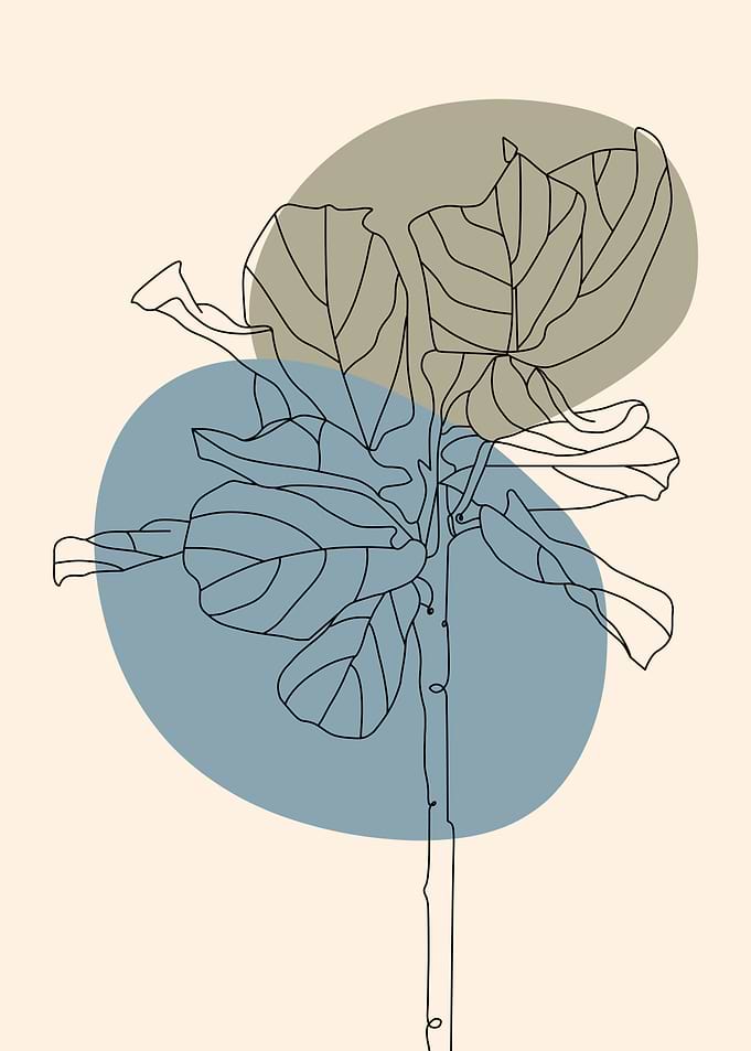 Tobacco Flowers