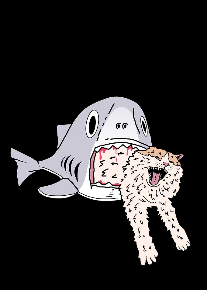 shark eats cat