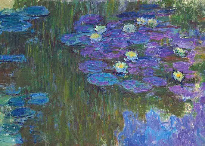 Nympheas en fleur
