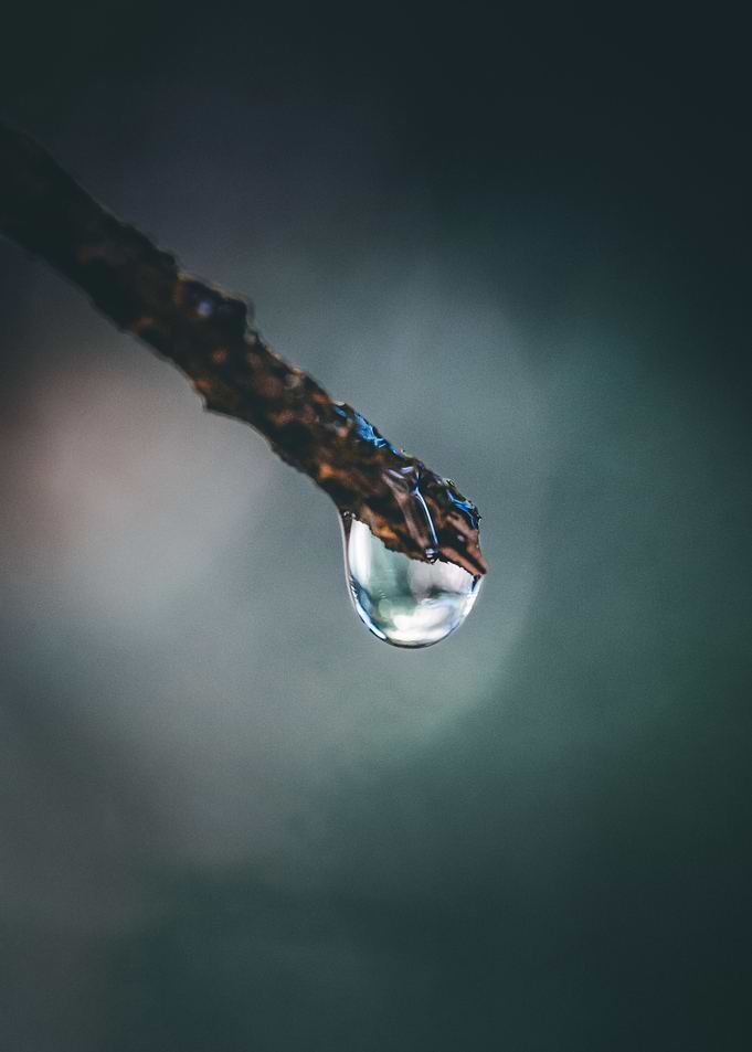 Drop on stick