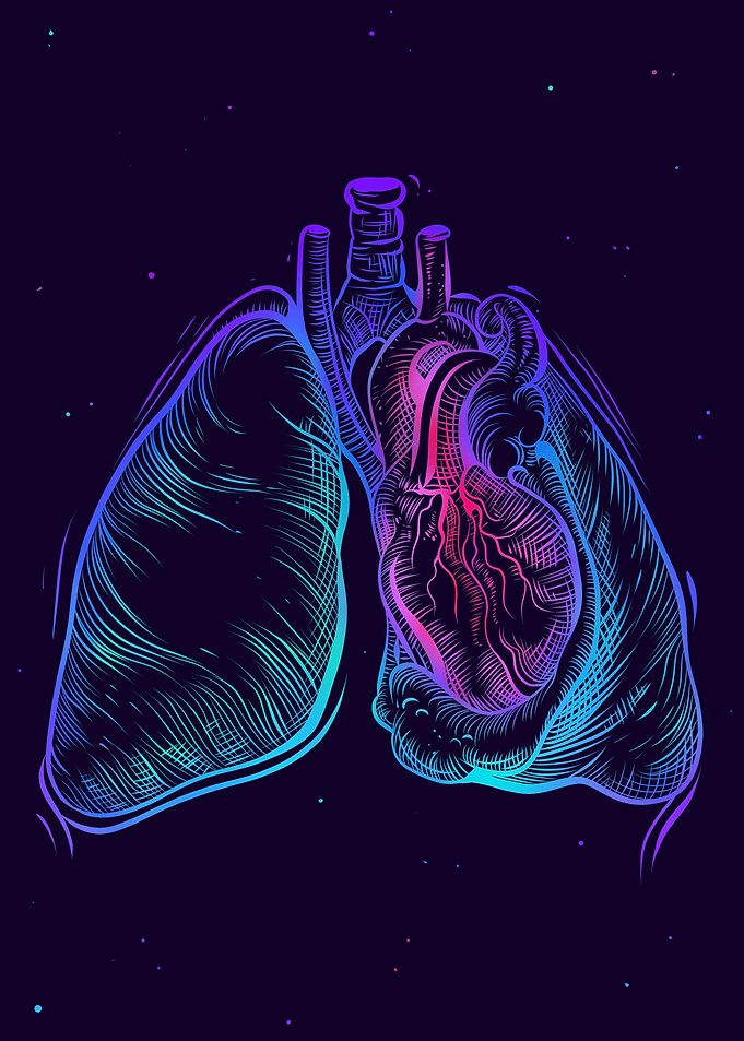 The Lungs Party Edition