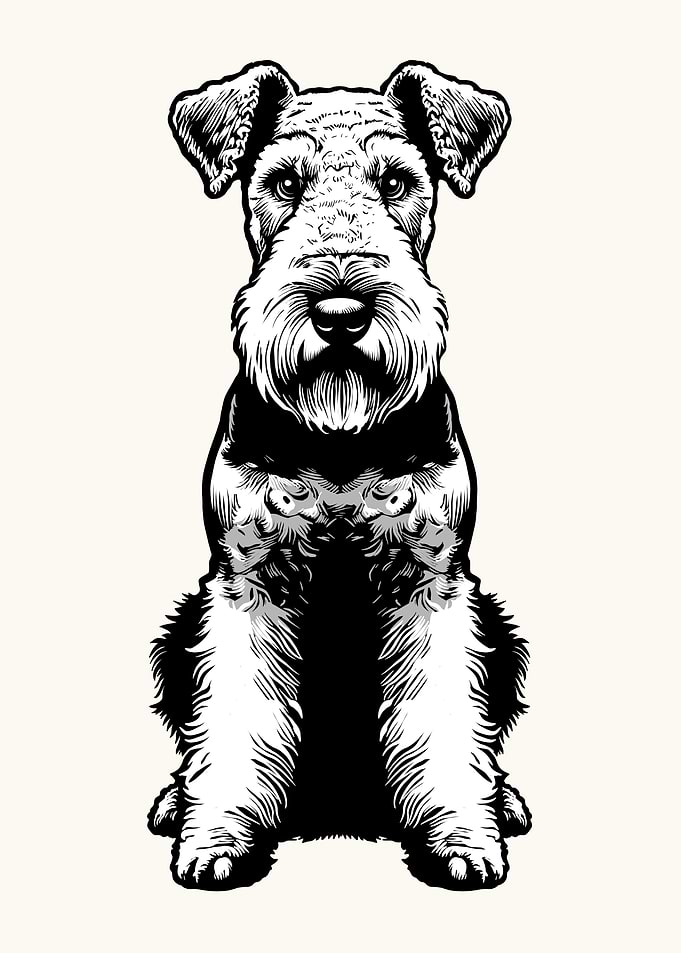 Airedale Terrier