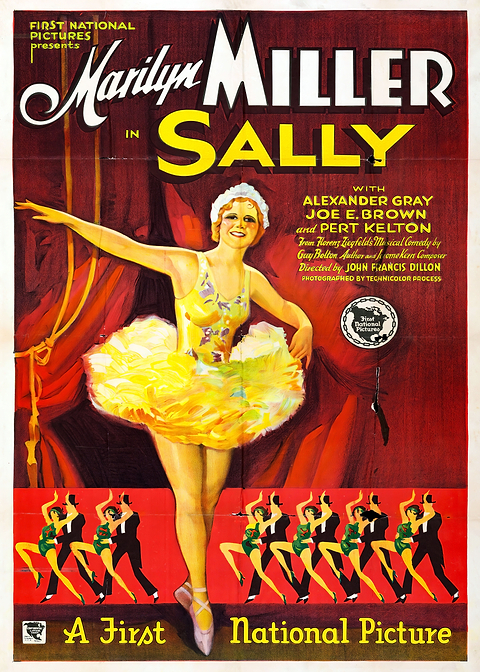 Sally Movie Poster — vintage film art printed on metal
