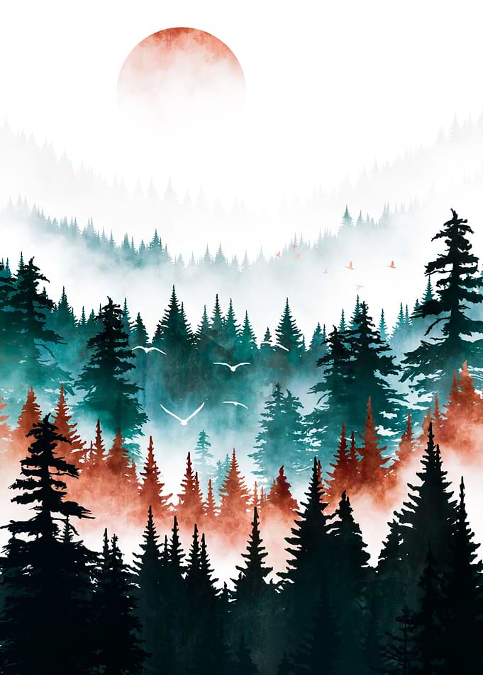 Sunrise Over the Forest