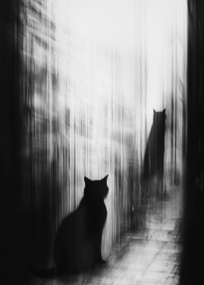 Hidden Presence
