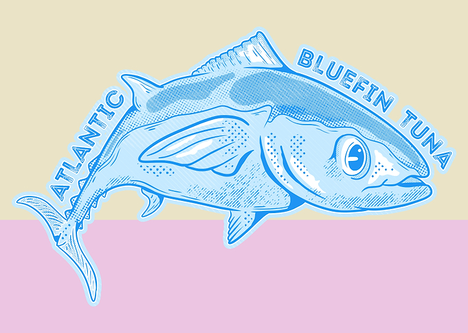 Atlantic bluefin tuna