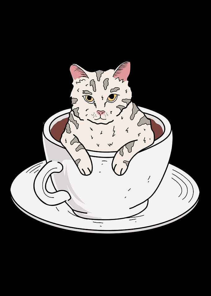 Cat coffee