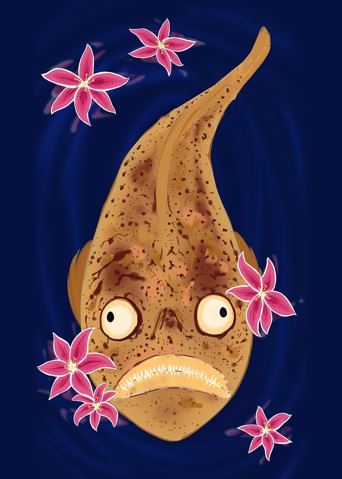 Stargazers Fish and Lily