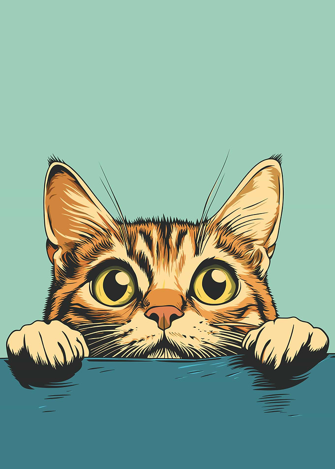 Curious Tommy Cat Poster