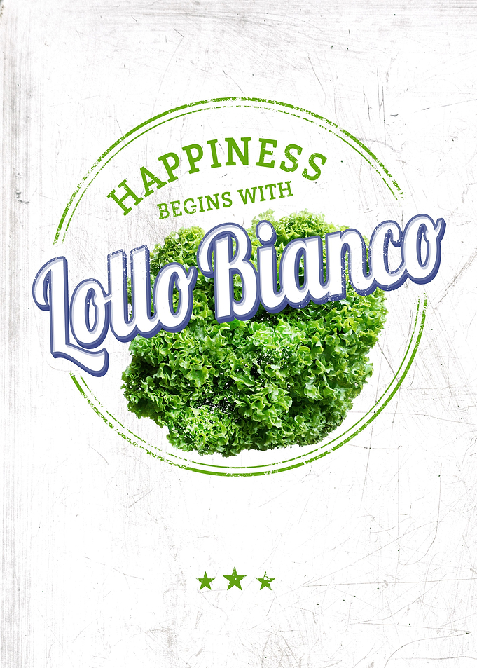Lollo Bianco Salad Bianco