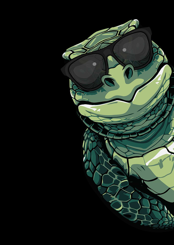 Cool Sea Turtle Gift Kids