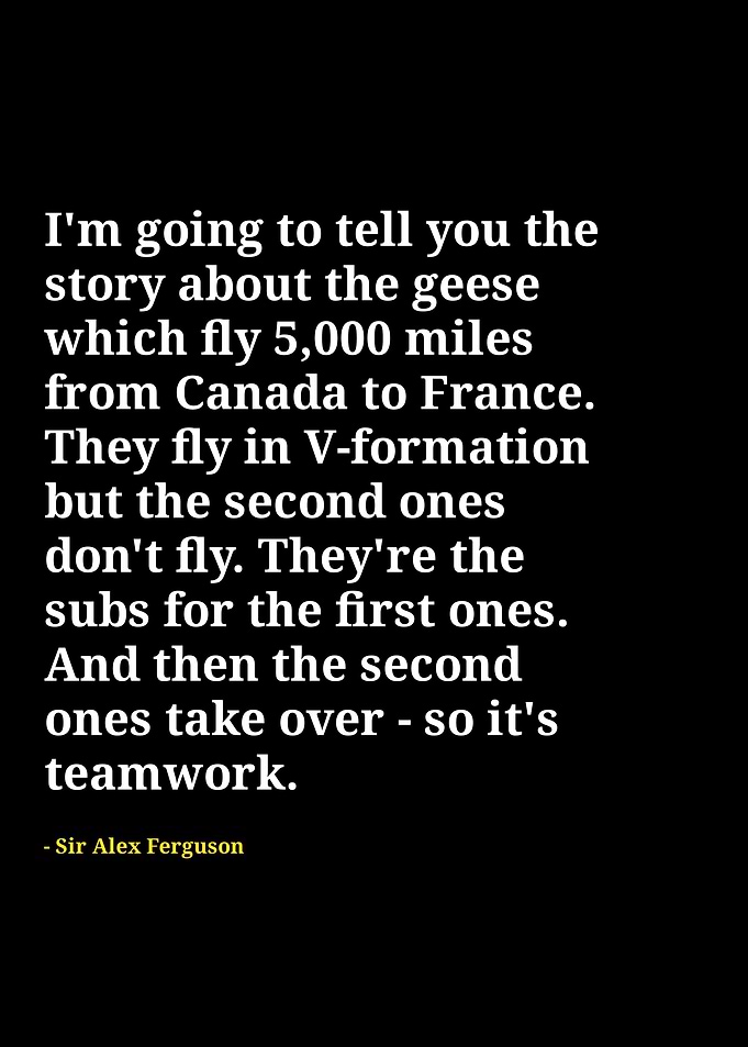 Alex ferguson quotes