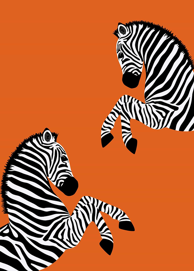 Orange Zebra Animal Art